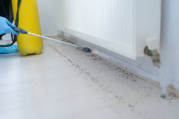 Best Best Pest Control Companies  in Adrian, MI